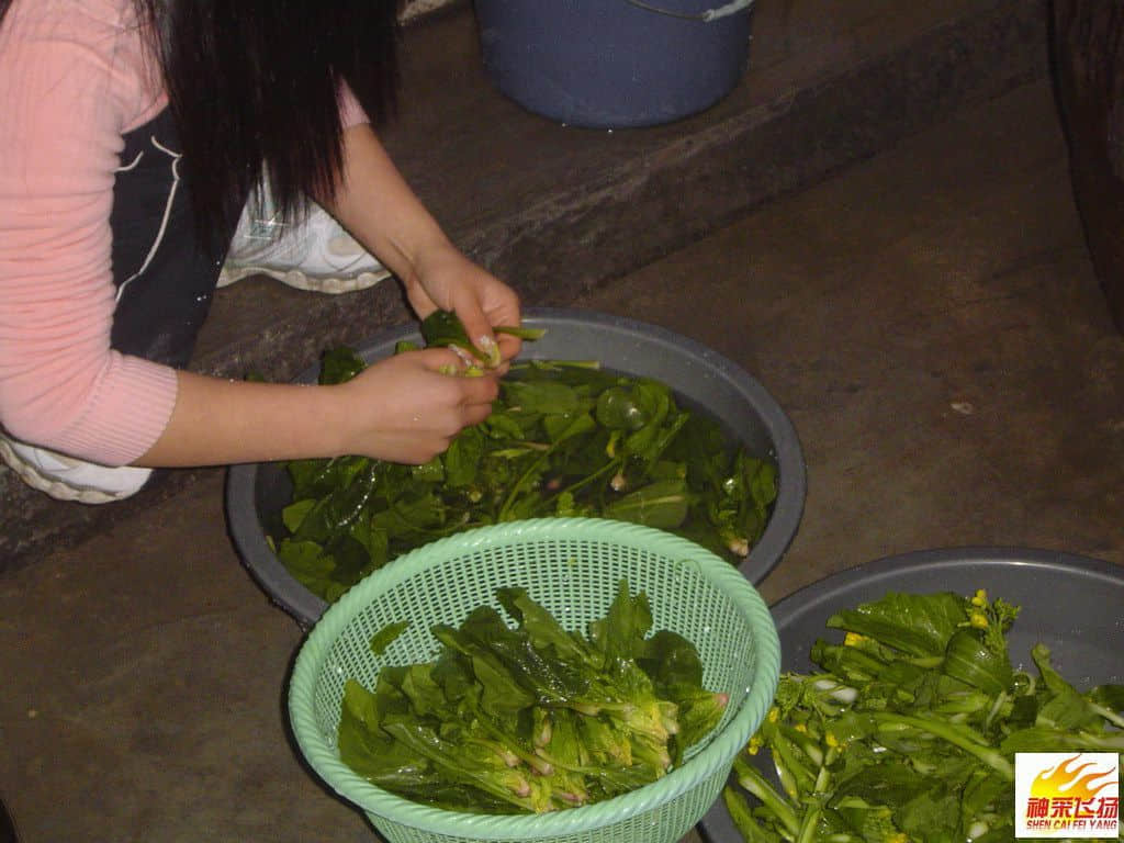 烹饪美食25.JPG
