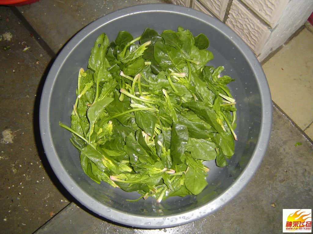 烹饪美食31.JPG