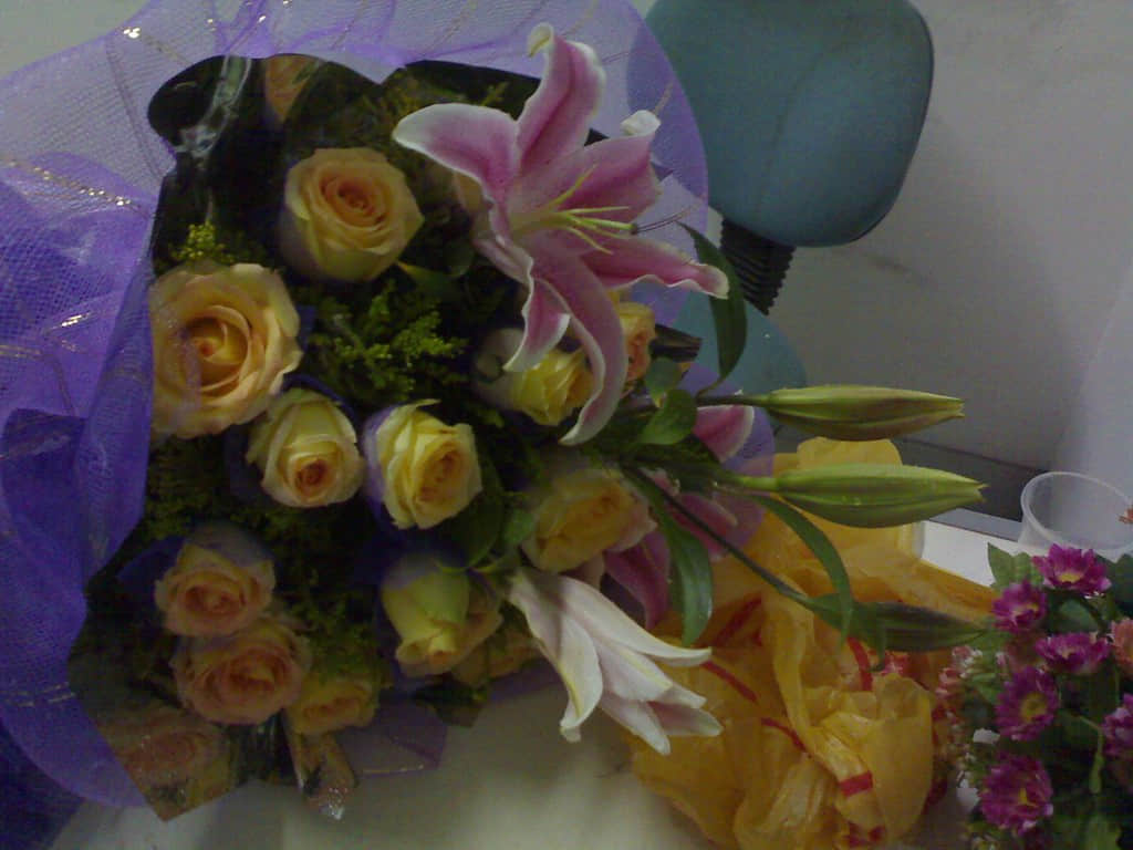 20080221127.jpg