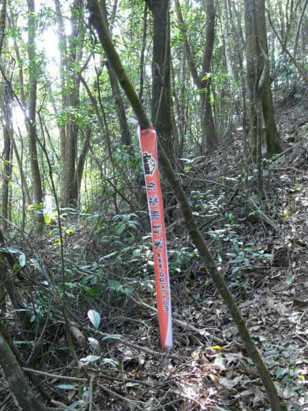 老妒留下的路标