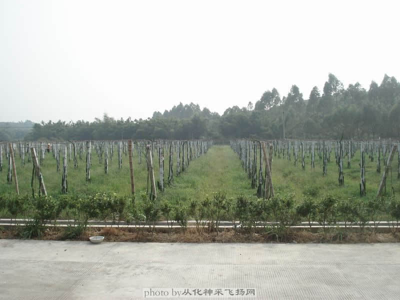 活动场地3.JPG