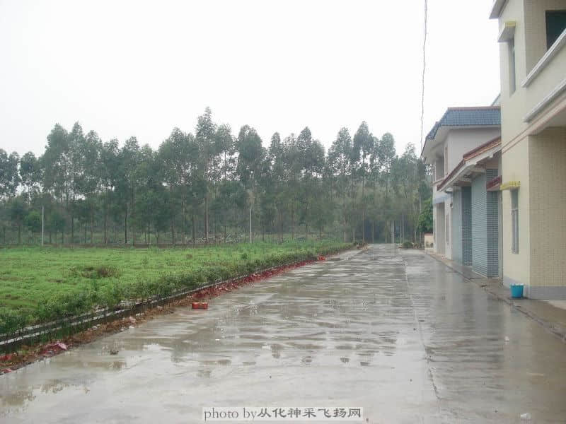 活动场地2.JPG