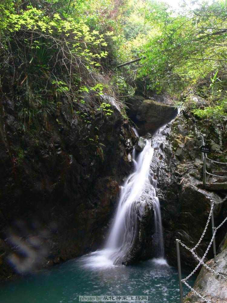 P1070642.jpg