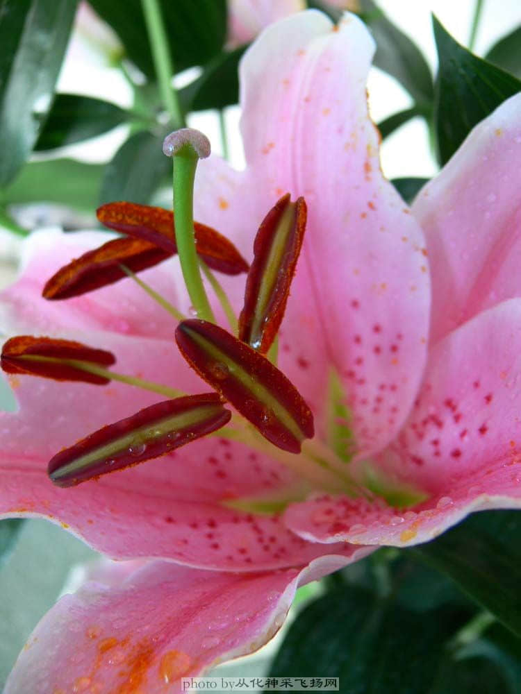 200804281.jpg