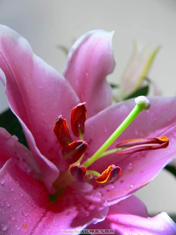 200804282.jpg