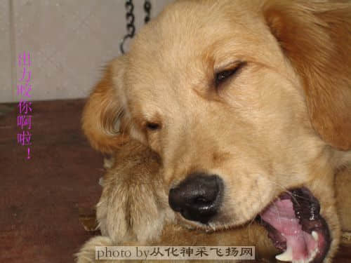 照片 011 拷贝.jpg
