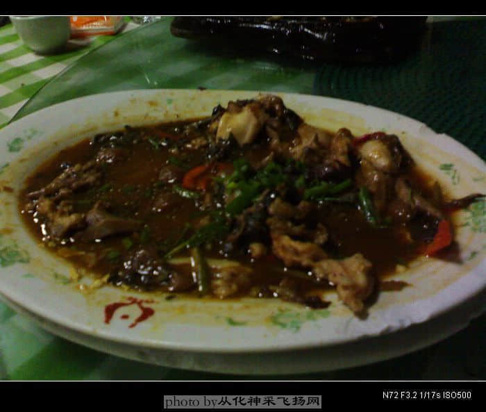 20080501461.jpg