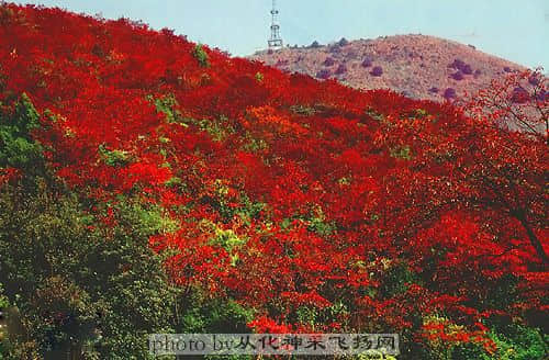 石门森林公园B.jpg