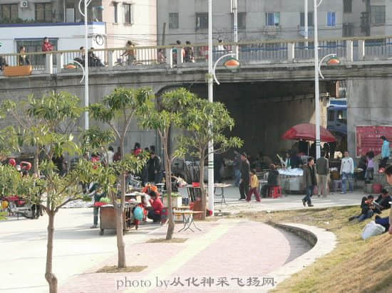 20080310001614142.jpg