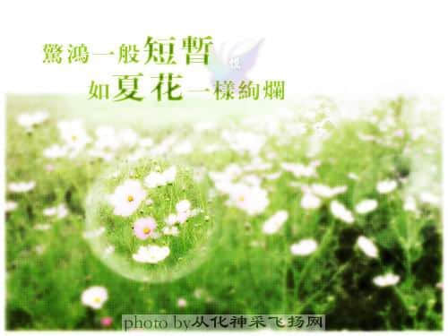 沉默.jpg