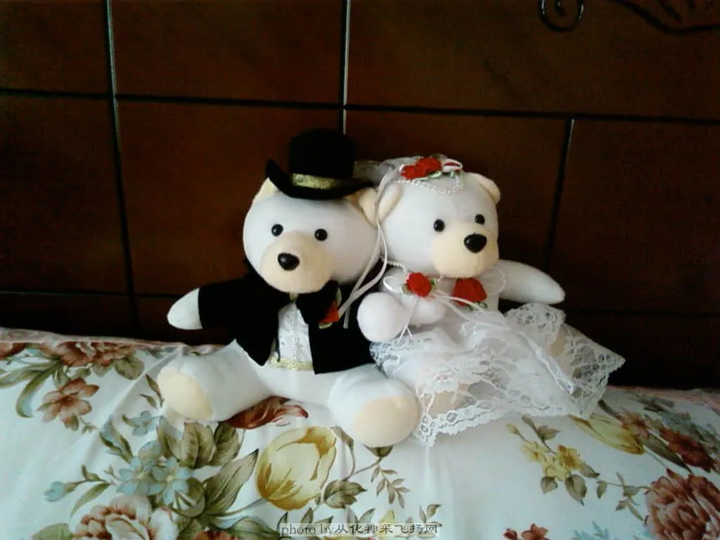 装饰花车的车头公仔,我和他都喜欢bearbear,所以买了一对bearbear的公仔!价格:35元(广州万菱饰品街)