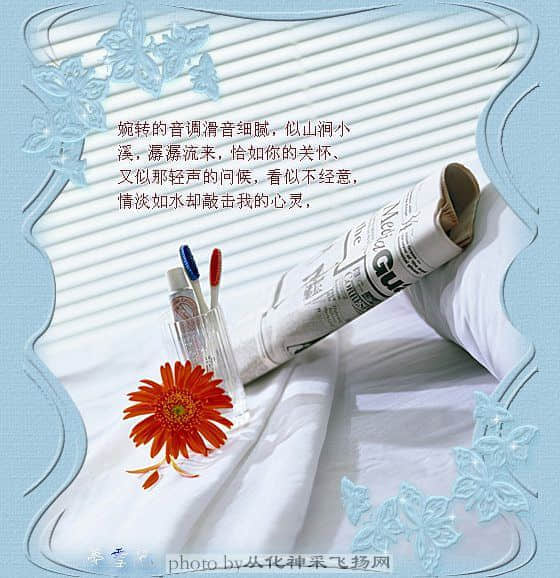 b3.jpg