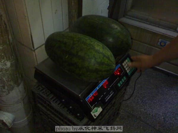 20080809西瓜.JPG