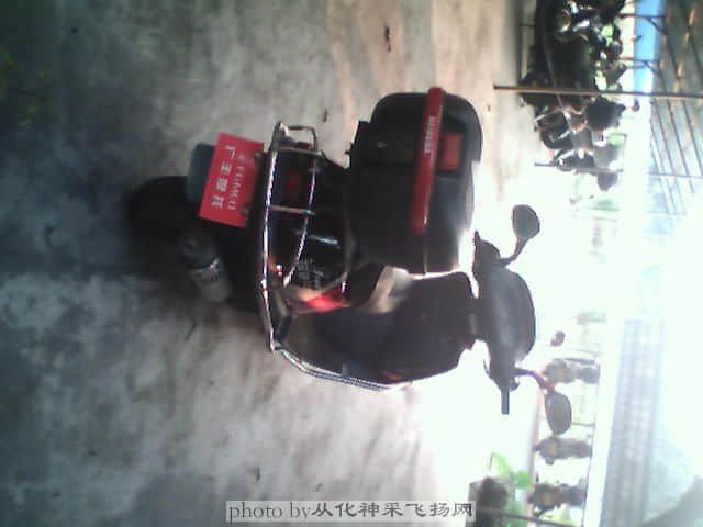P7305.JPG