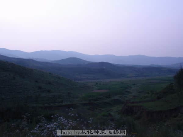 P8060414.JPG