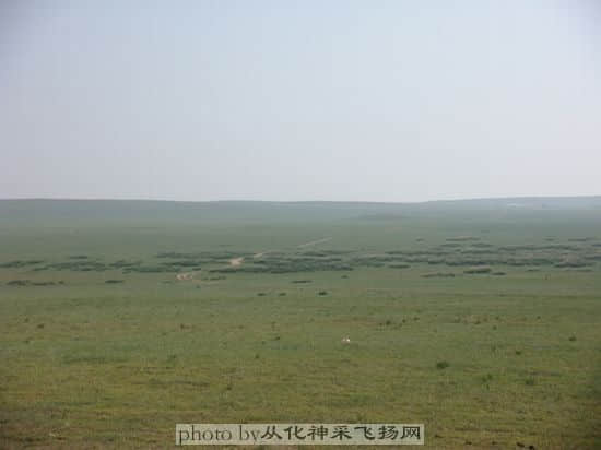 DSC00847.JPG