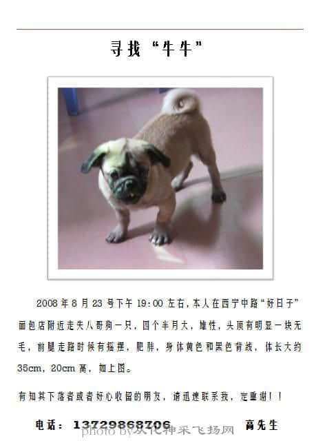 牛牛.jpg.jpg