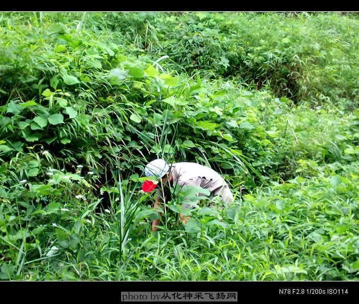 20080824027.webp