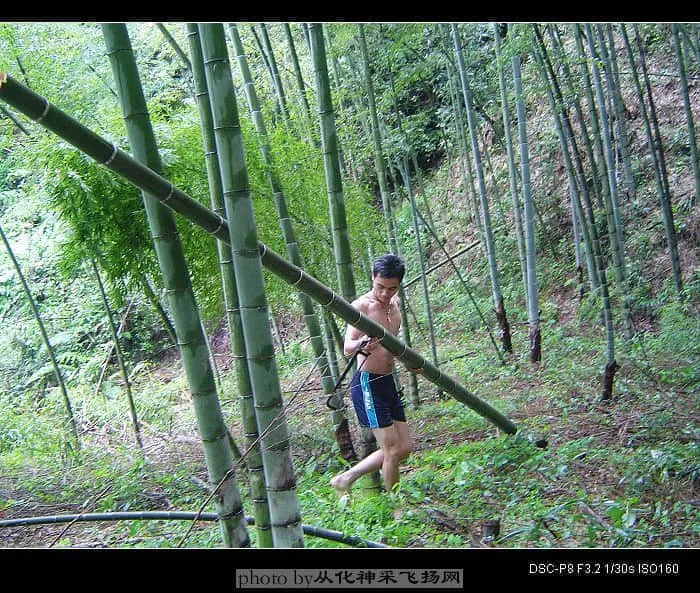 DSC04192.webp