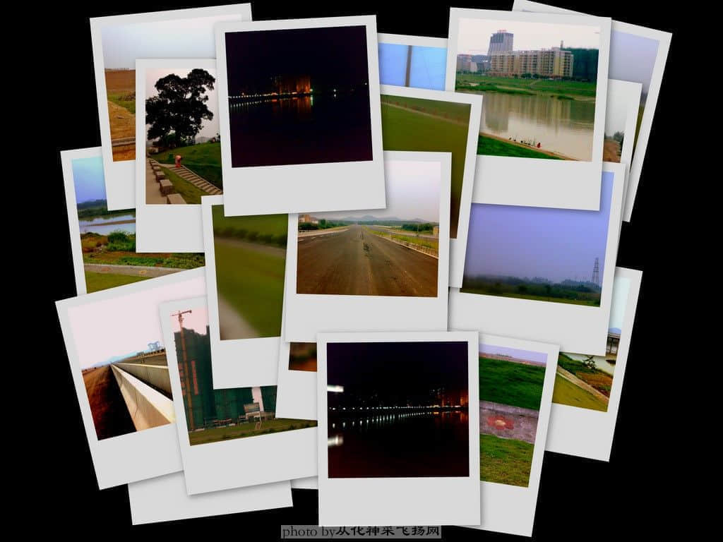 collage1.jpg