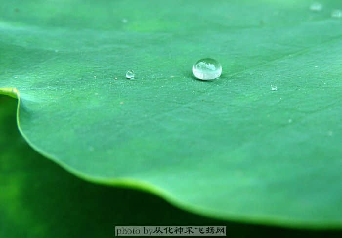 我们很快就会蒸发掉，不知不觉