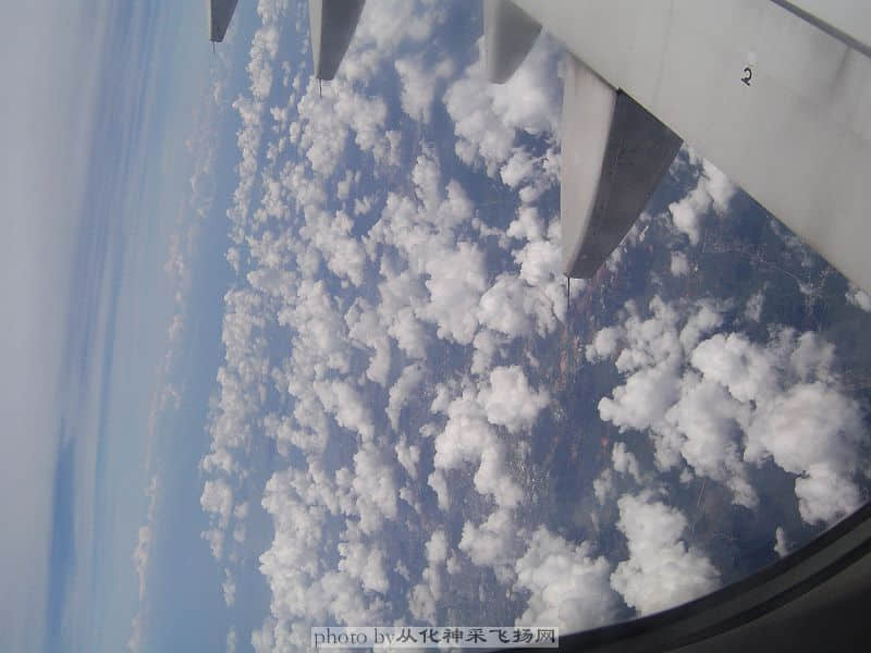 DSC03142.jpg