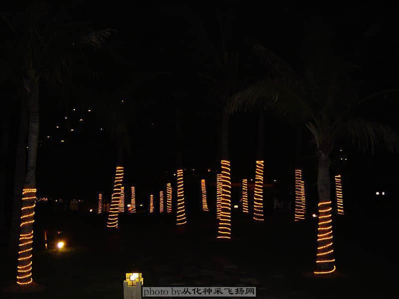 DSC03221.jpg