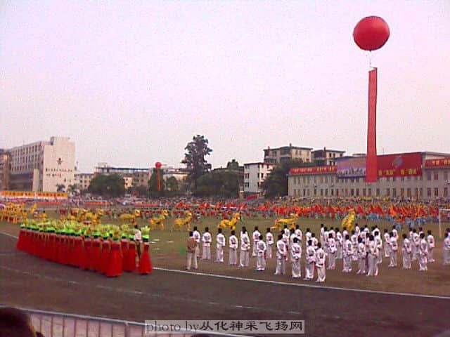 IMAGE_135.jpg