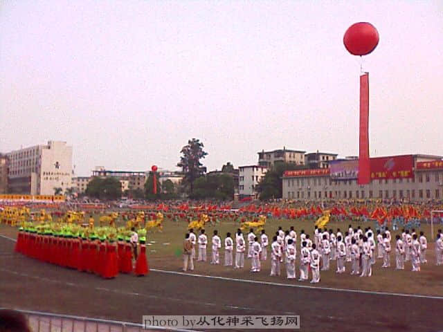 IMAGE_133.jpg