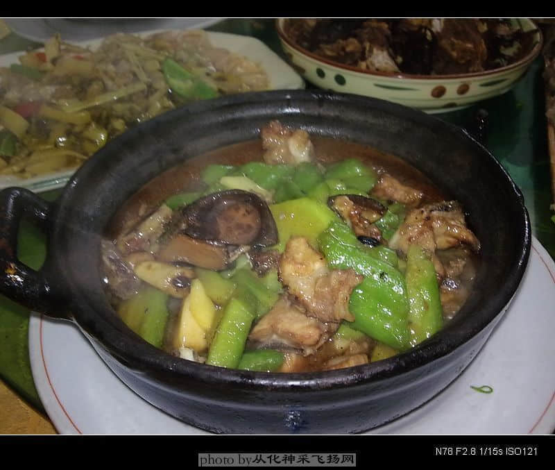 20081109258.jpg