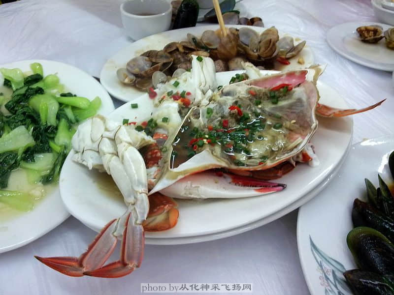 20081105203.jpg