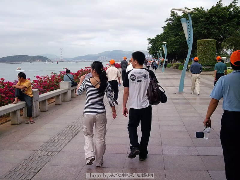 20081105189.jpg