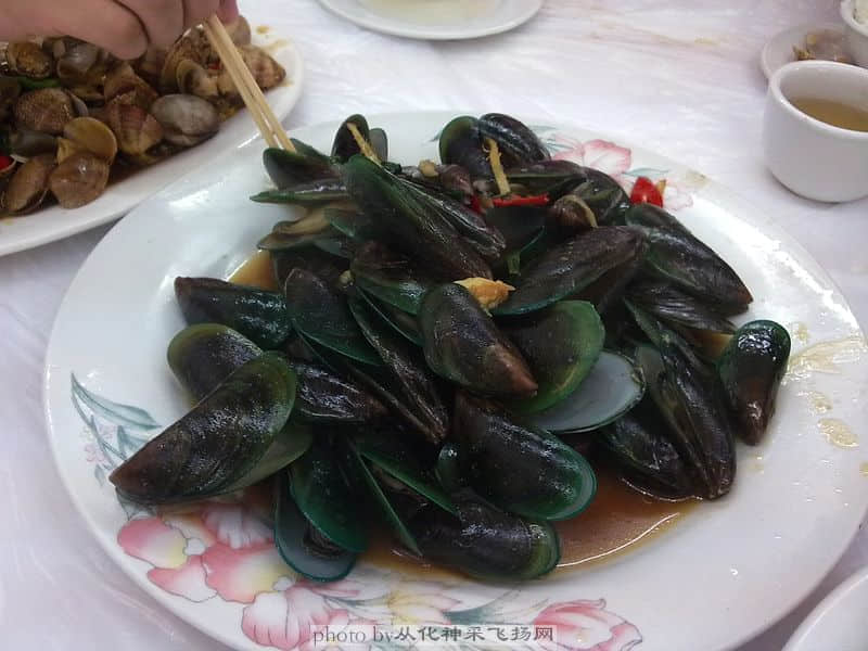 20081105202.jpg