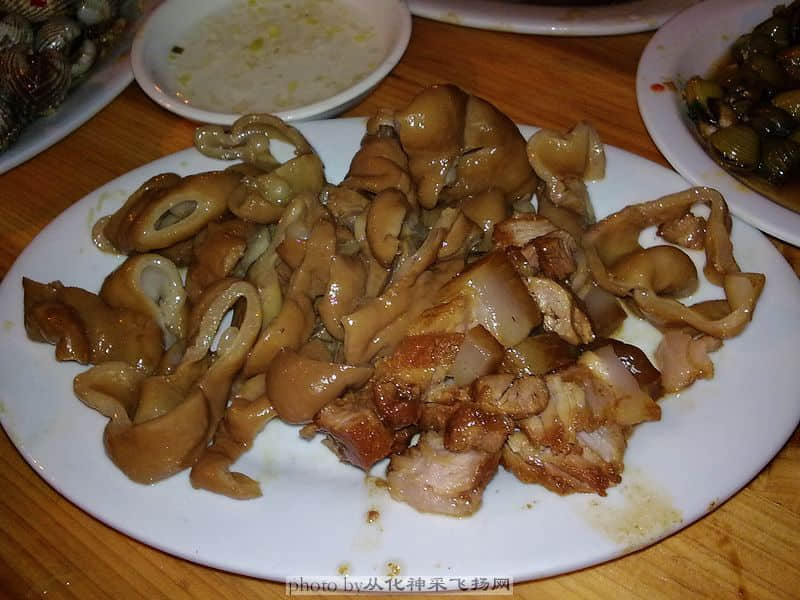 20081105221.jpg