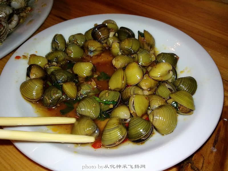 20081105216.jpg
