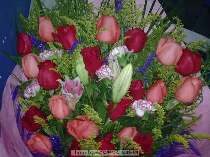 20081205021.JPG