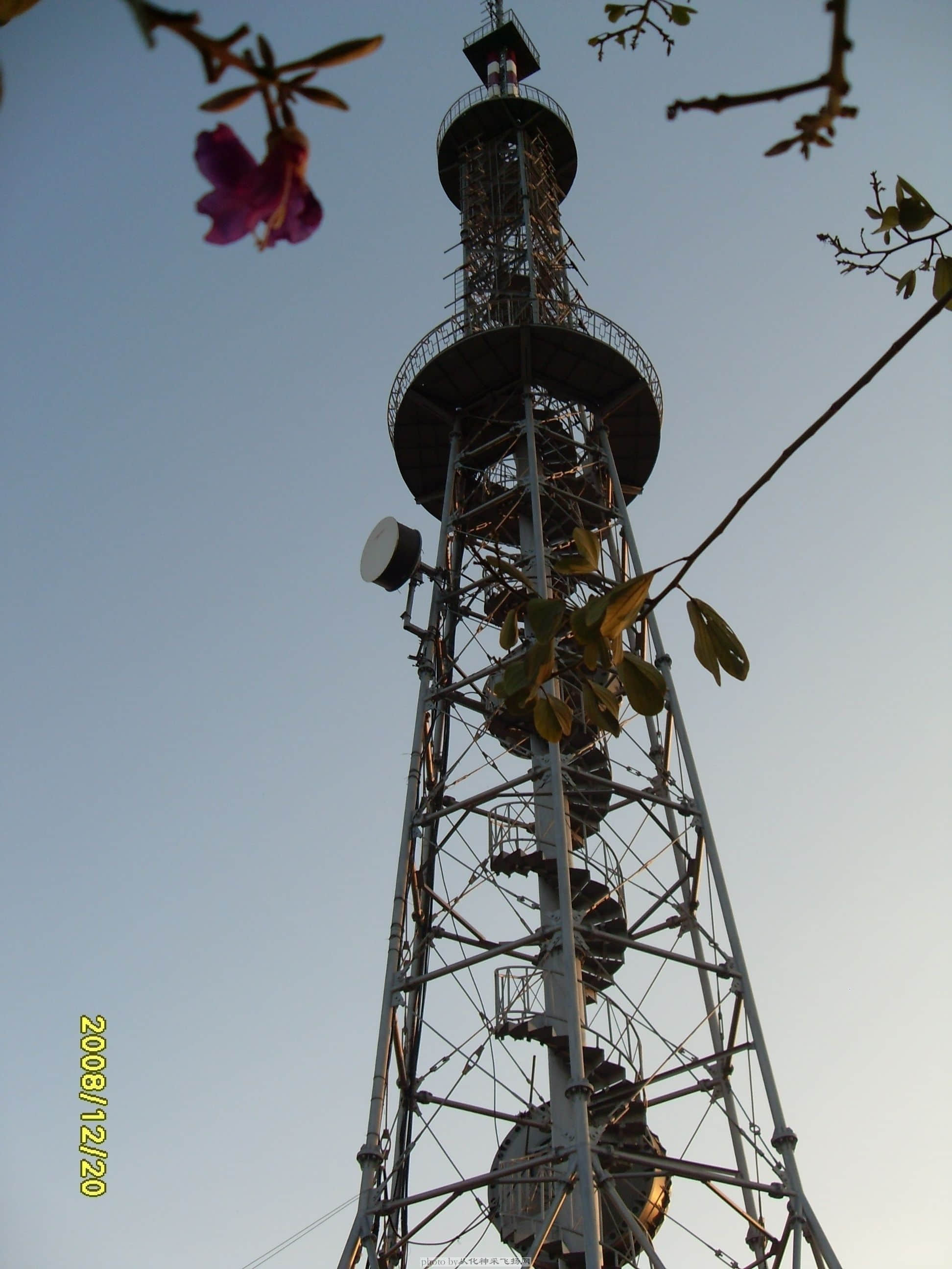 SDC10520.JPG