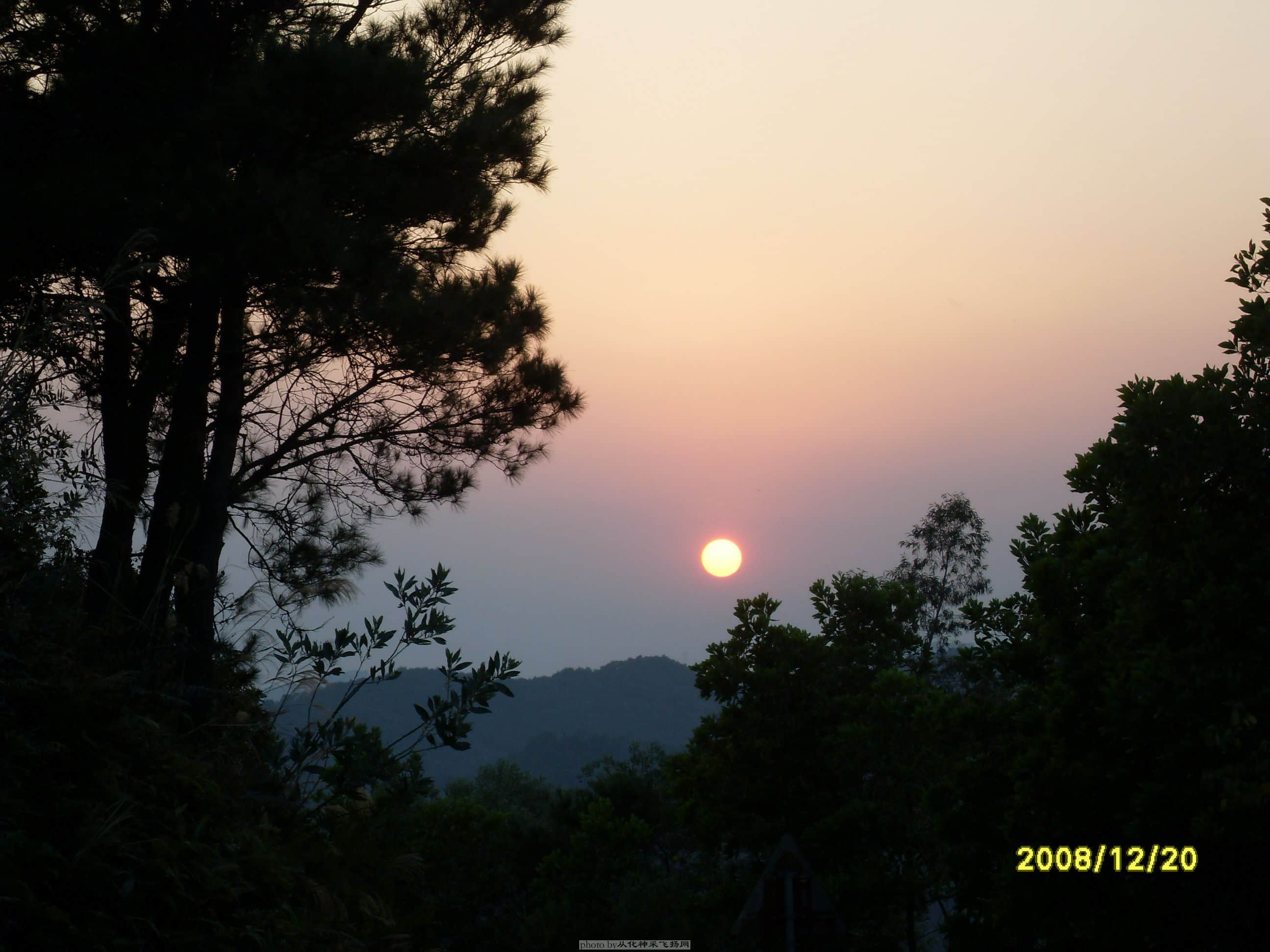 SDC10529.JPG