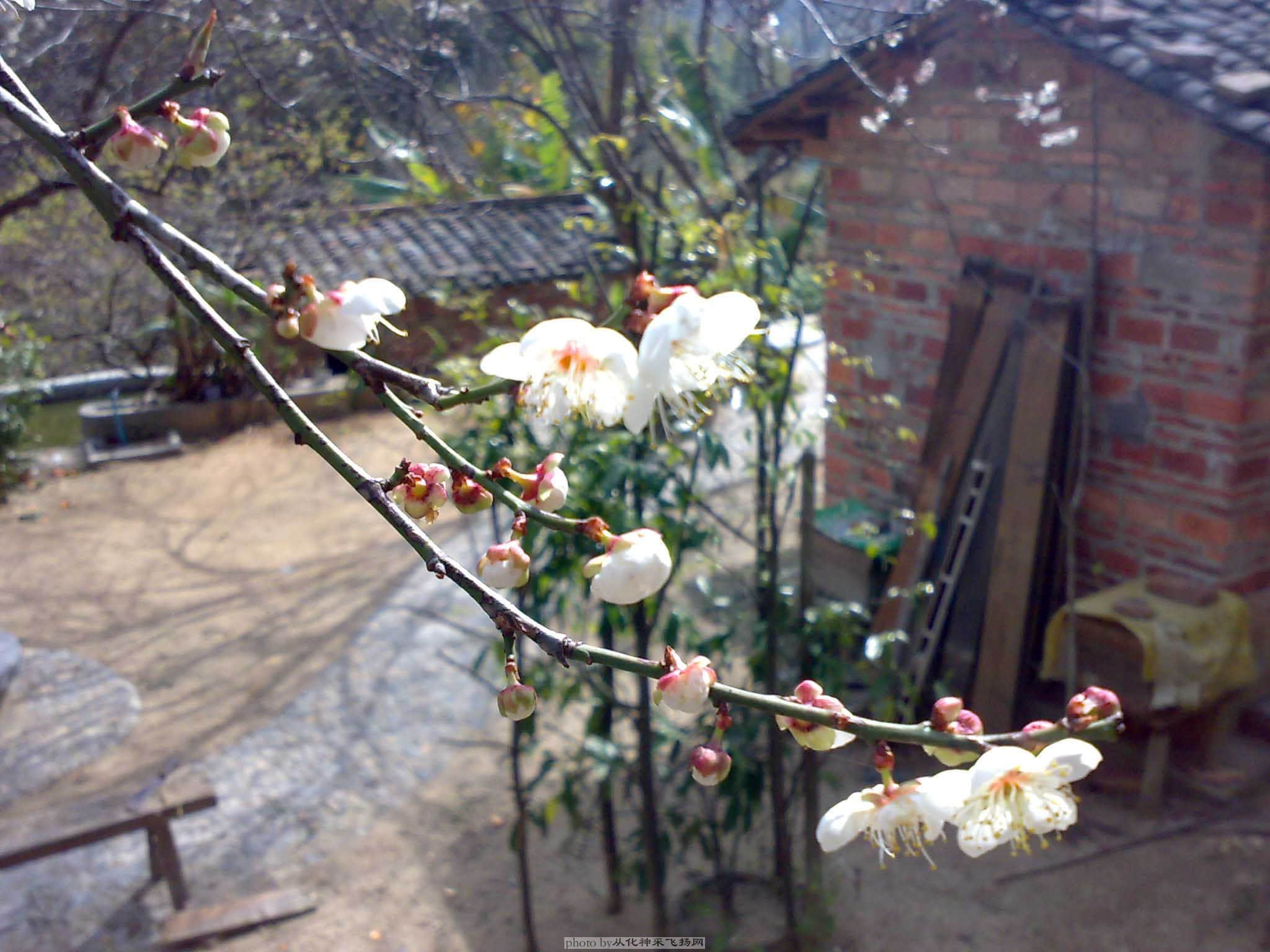 20090103327.jpg