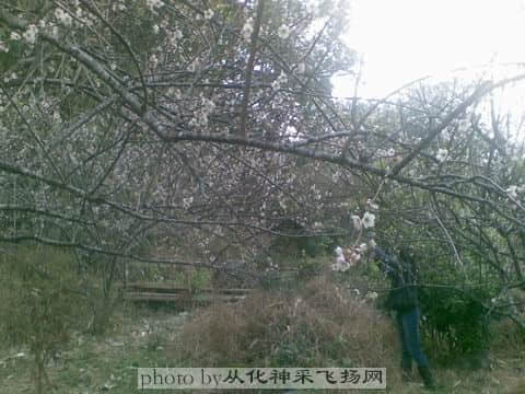 调整大小 图像108.jpg
