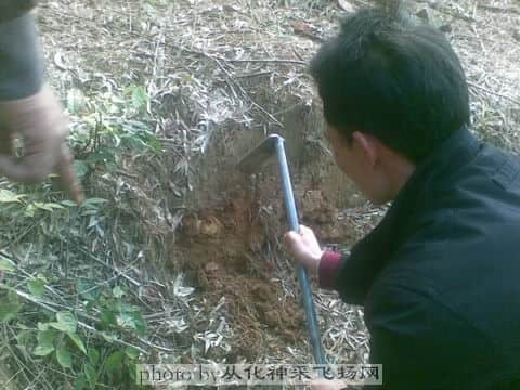 有所发现