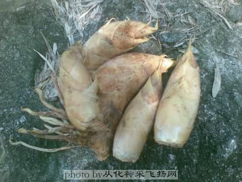 哈哈，收获不少