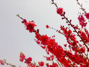 20090211435.jpg