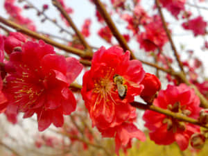 20090211437.jpg