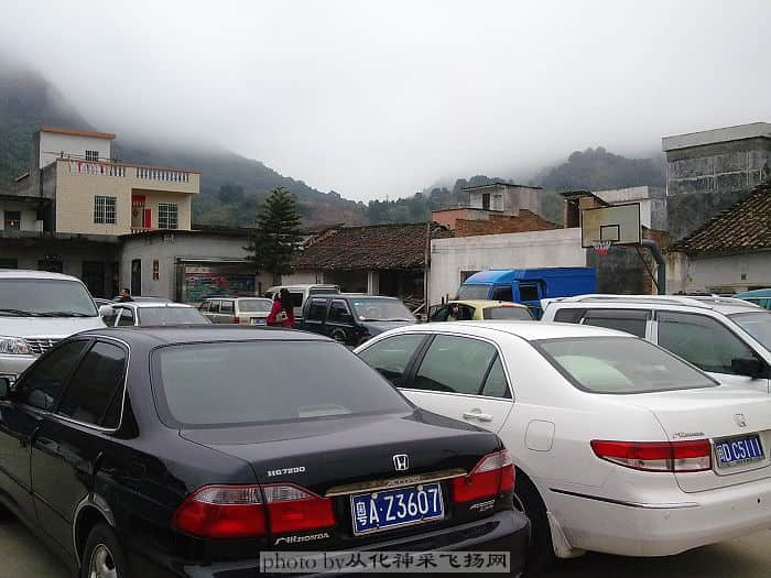 20090128449.jpg