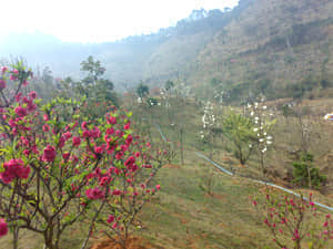 20090211453.jpg