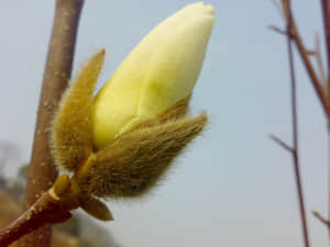 20090211445.jpg