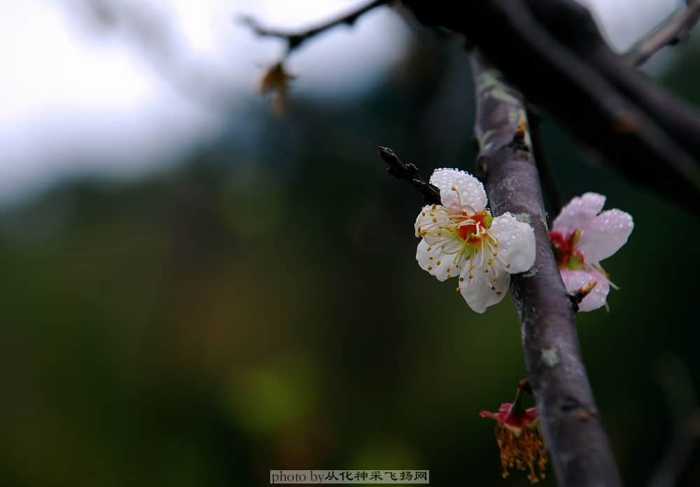 DSC_2364.jpg