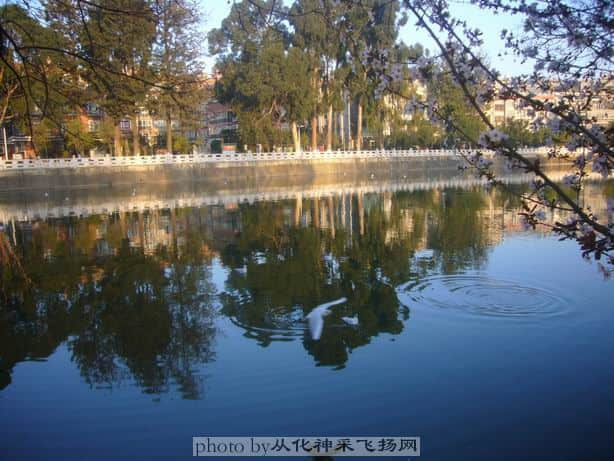 调整大小 P1090685.JPG