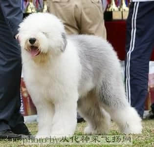 古牧.jpg